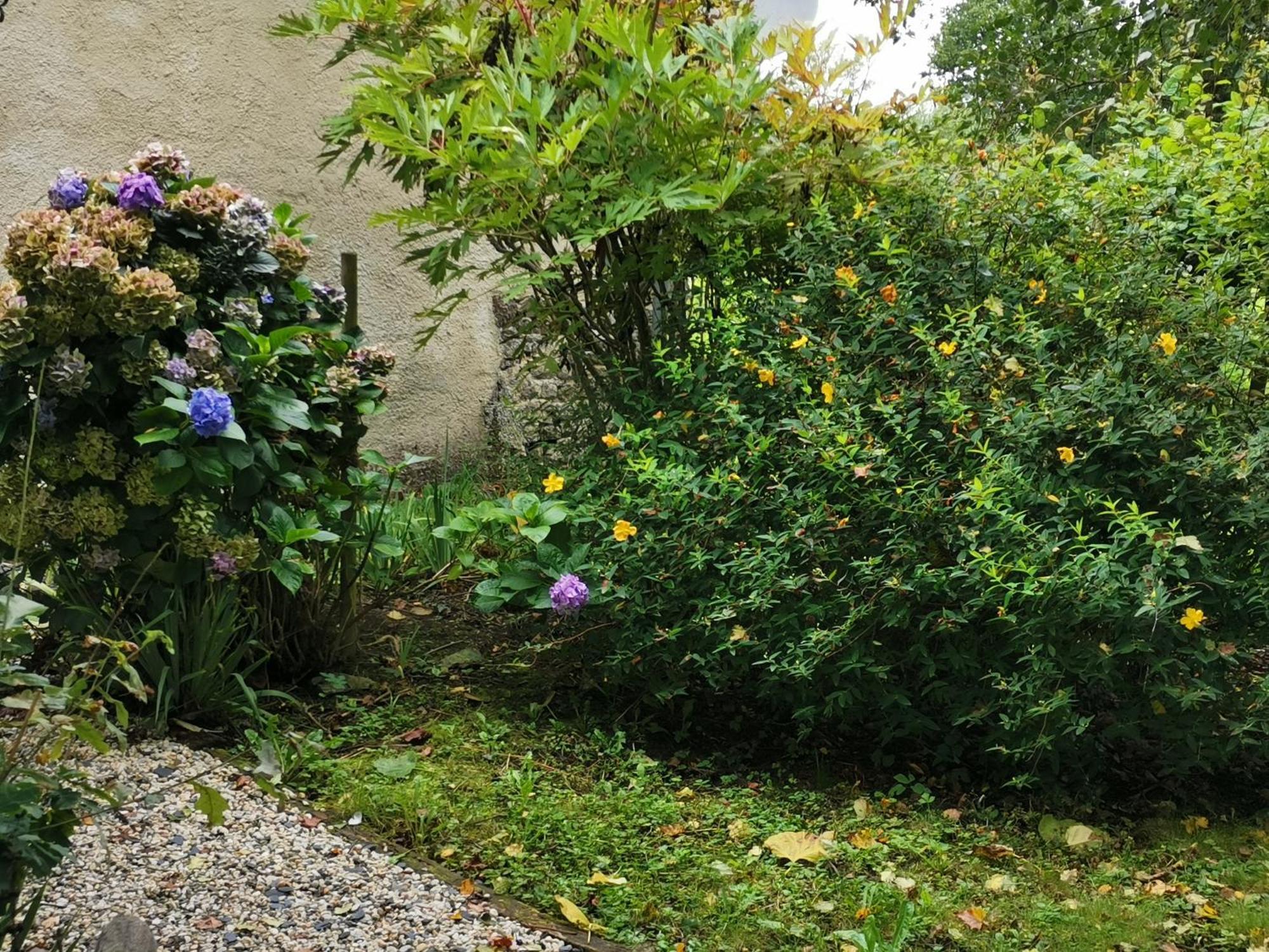 Les Brassins Du Dillon Villa Moyon Exterior photo